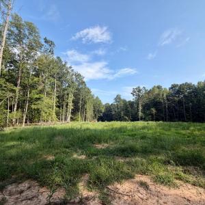 Photo #19 of 2400 Tribble Lane, Goochland, VA 9.0 acres