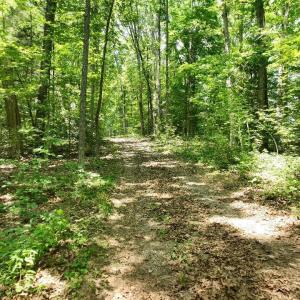 Photo #8 of 2400 Tribble Lane, Goochland, VA 9.0 acres
