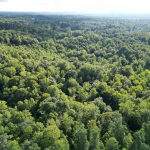 Photo #12 of 3315 Amherst Highway, Monroe, VA 33.7 acres