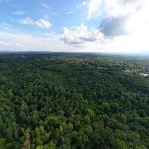 Photo #9 of 3315 Amherst Highway, Monroe, VA 33.7 acres