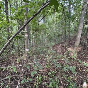 Photo #20 of 3315 Amherst Highway, Monroe, VA 33.7 acres