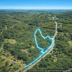 Aerial view from Monroe heading to Madison Heights