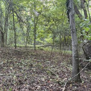 Flat area towards back of lot