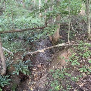 First wet weather creek bed at the bottom of the first hill.