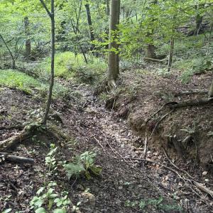 Wet weather creek bed 1