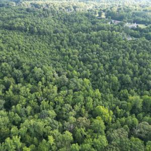 Photo #10 of 3315 Amherst Highway, Monroe, VA 33.7 acres