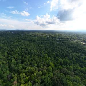 Photo #9 of 3311 Amherst Highway, Monroe, VA 33.7 acres