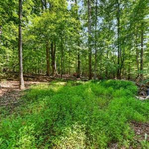 Photo #16 of 1091 Silver Place, Moneta, VA 1.3 acres