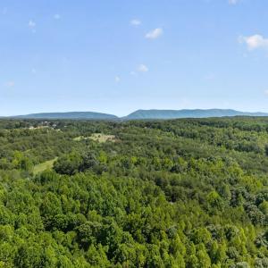 Photo #20 of 1091 Silver Place, Moneta, VA 1.3 acres