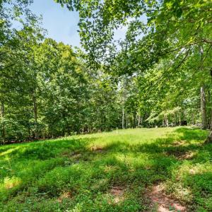 Photo #12 of 1091 Silver Place, Moneta, VA 1.3 acres