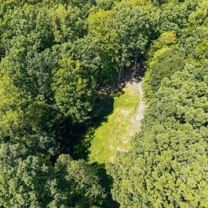 Photo #3 of 1091 Silver Place, Moneta, VA 1.3 acres