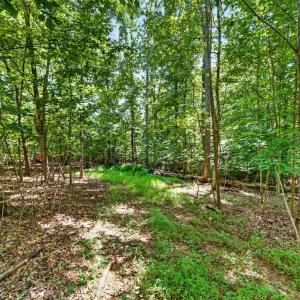 Photo #17 of 1091 Silver Place, Moneta, VA 1.3 acres