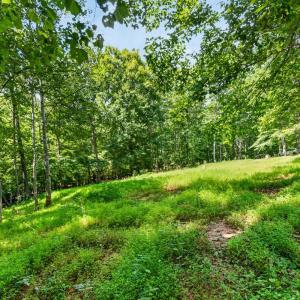 Photo #14 of 1091 Silver Place, Moneta, VA 1.3 acres