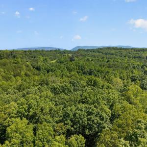 Photo #21 of 1091 Silver Place, Moneta, VA 1.3 acres