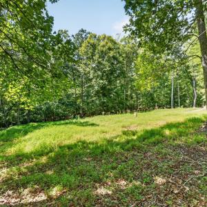 Photo #5 of 1091 Silver Place, Moneta, VA 1.3 acres