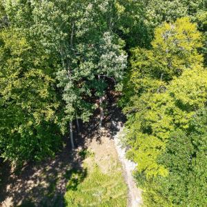 Photo #9 of 1091 Silver Place, Moneta, VA 1.3 acres