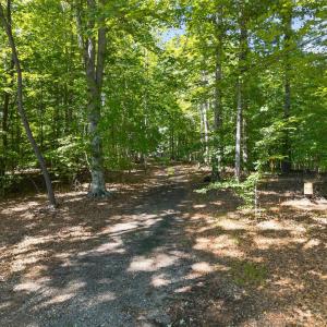 Photo #7 of 1091 Silver Place, Moneta, VA 1.3 acres