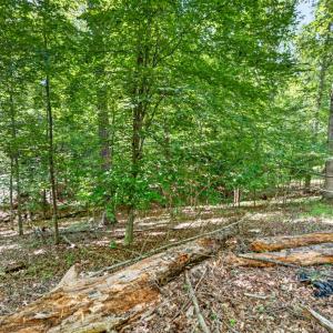 Photo #18 of 1091 Silver Place, Moneta, VA 1.3 acres