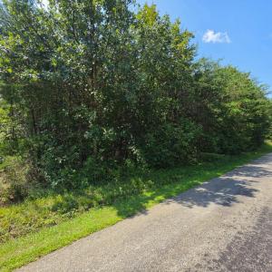 Photo #2 of 4 Covered Bridge Road, Gladys, VA 2.0 acres