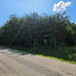 Photo #1 of 4 Covered Bridge Road, Gladys, VA 2.0 acres