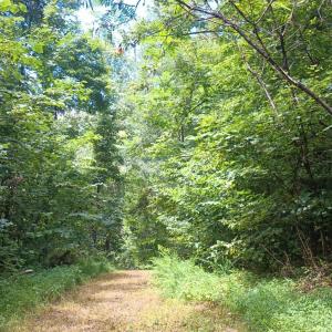 Photo #10 of Battery Hill Lane, Tyro, VA 7.3 acres