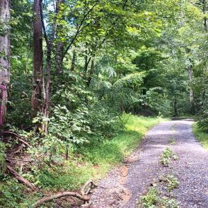 Photo #9 of Battery Hill Lane, Tyro, VA 7.3 acres
