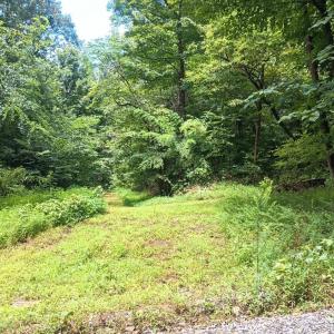 Photo #8 of Battery Hill Lane, Tyro, VA 7.3 acres