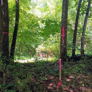 Photo #6 of Battery Hill Lane, Tyro, VA 7.3 acres