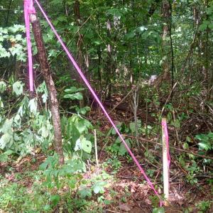 Photo #21 of Battery Hill Lane, Tyro, VA 7.3 acres