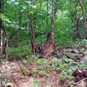 Photo #12 of Battery Hill Lane, Tyro, VA 7.3 acres