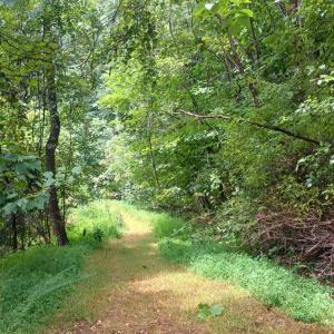 Photo #11 of Battery Hill Lane, Tyro, VA 7.3 acres