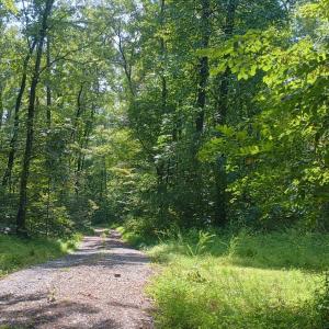 Photo #7 of Battery Hill Lane, Tyro, VA 7.3 acres