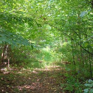 Photo #24 of Battery Hill Lane, Tyro, VA 7.3 acres