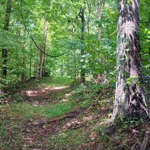 Photo #22 of Battery Hill Lane, Tyro, VA 7.3 acres