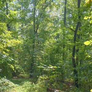 Photo #1 of Battery Hill Lane, Tyro, VA 7.3 acres