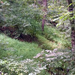 Photo #18 of Battery Hill Lane, Tyro, VA 7.3 acres
