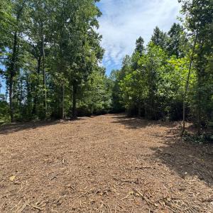 Photo #10 of Watt Abbitt Road, Appomattox, VA 42.7 acres