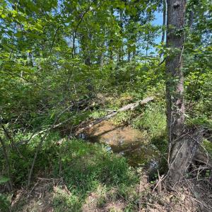 Photo #5 of Watt Abbitt Road, Appomattox, VA 42.7 acres
