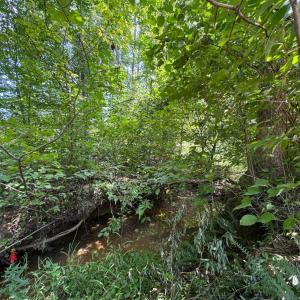 Photo #18 of Watt Abbitt Road, Appomattox, VA 42.7 acres
