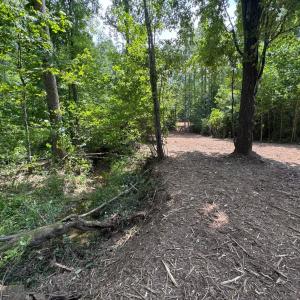 Photo #6 of Watt Abbitt Road, Appomattox, VA 42.7 acres