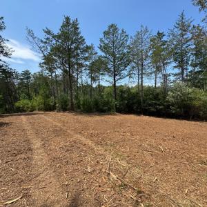 Photo #4 of Watt Abbitt Road, Appomattox, VA 42.7 acres