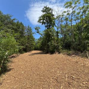 Photo #3 of Watt Abbitt Road, Appomattox, VA 42.7 acres