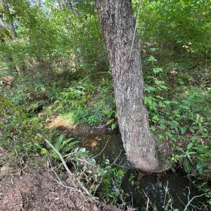 Photo #13 of Watt Abbitt Road, Appomattox, VA 42.7 acres