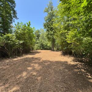 Photo #12 of Watt Abbitt Road, Appomattox, VA 42.7 acres