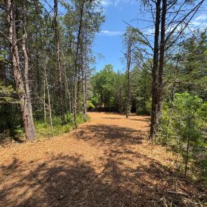 Photo #2 of Watt Abbitt Road, Appomattox, VA 42.7 acres