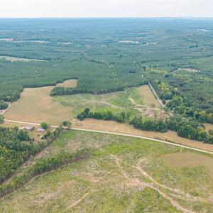 Photo #24 of Cody Rd, Gretna, VA 51.3 acres