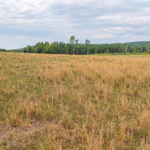 Photo #41 of Cody Rd, Gretna, VA 51.3 acres