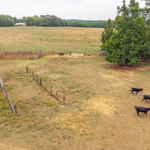 Photo #3 of Cody Rd, Gretna, VA 51.3 acres