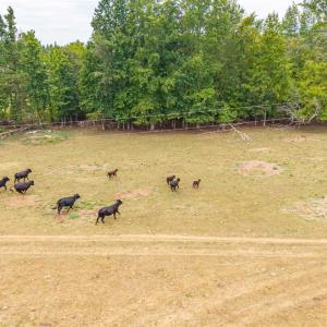 Photo #33 of Cody Rd, Gretna, VA 51.3 acres