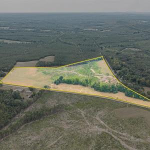 Photo #25 of Cody Rd, Gretna, VA 51.3 acres